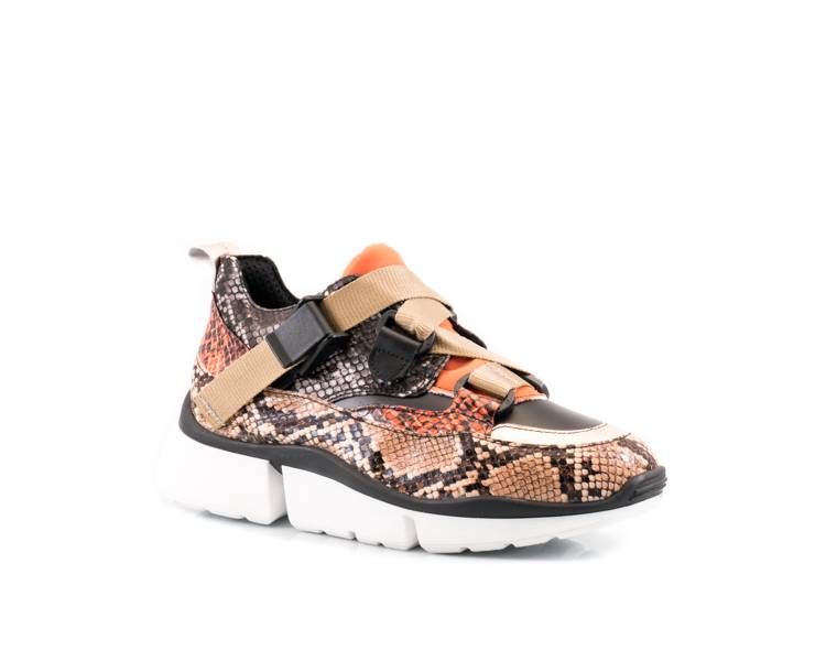 Jiudit Art.1222B Offerta Anniversario