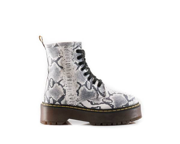 Jiudit Art.6060 Acquista Ora