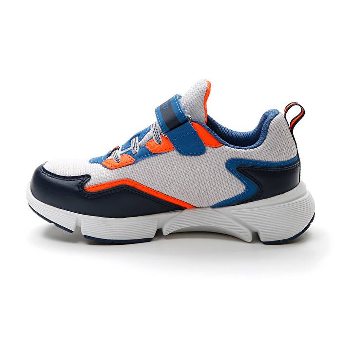 Lotto LIBRA AMF 5 II CL S Offerta
