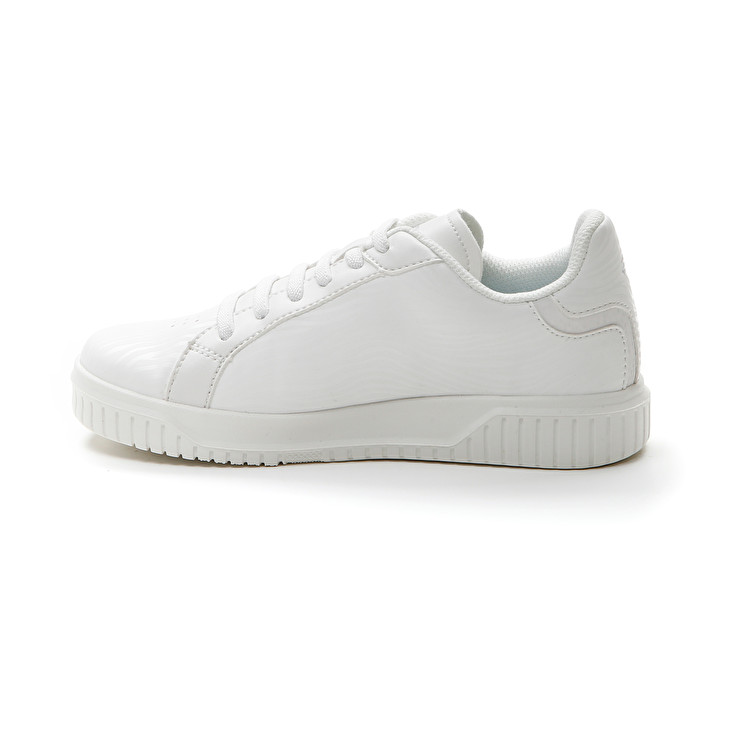 Lotto VENUS AMF II ZEBRA CL Saldi