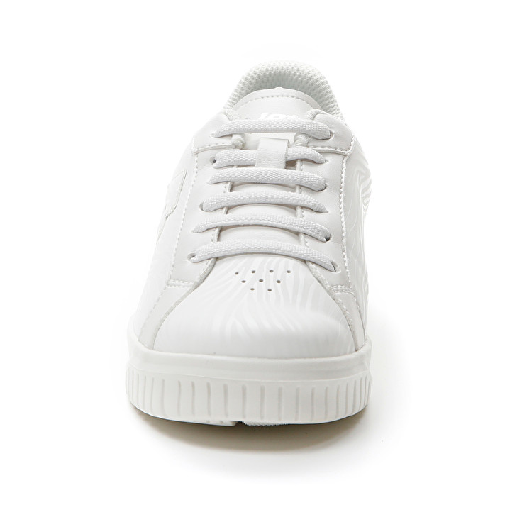 Lotto VENUS AMF II ZEBRA CL Saldi