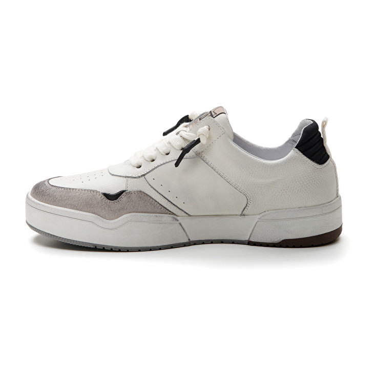Lotto HOOP STARS RUB Italia
