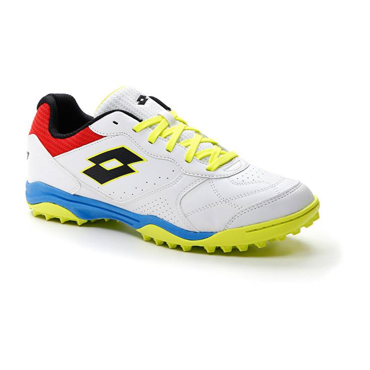 Lotto TACTO 300 VII TF Spedizione Gratuita