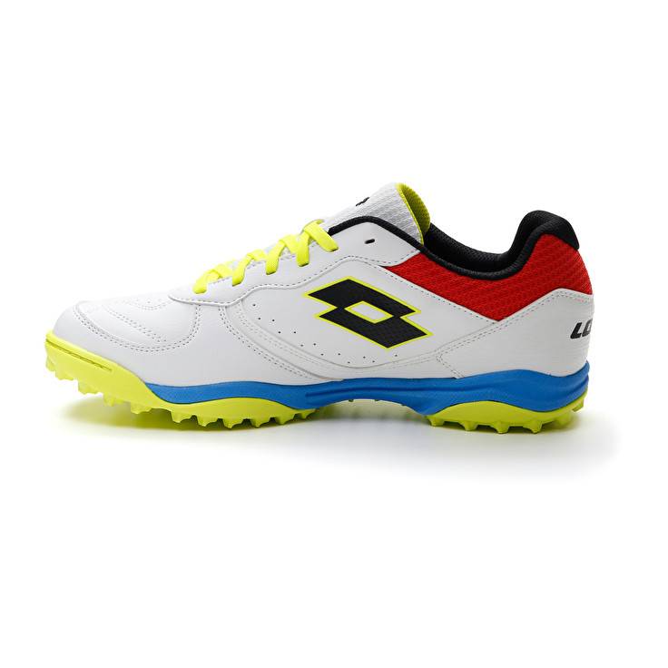 Lotto TACTO 300 VII TF Spedizione Gratuita