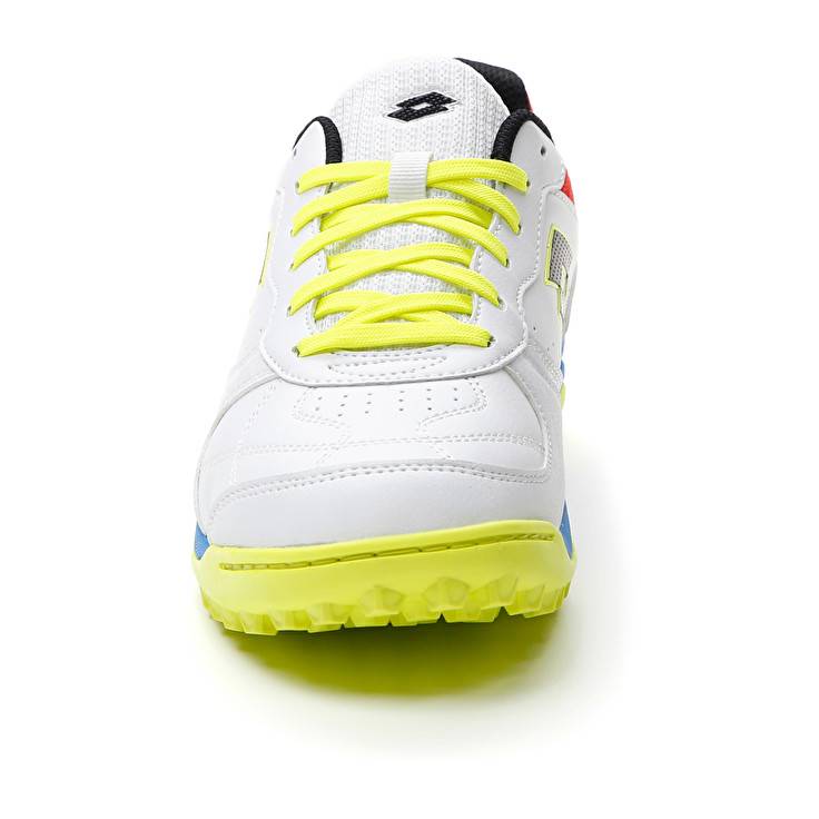 Lotto TACTO 300 VII TF Spedizione Gratuita