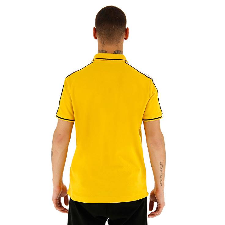 Lotto POLO LIPARI PQ Offerta