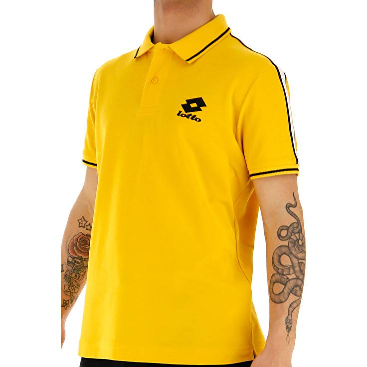 Lotto POLO LIPARI PQ Offerta