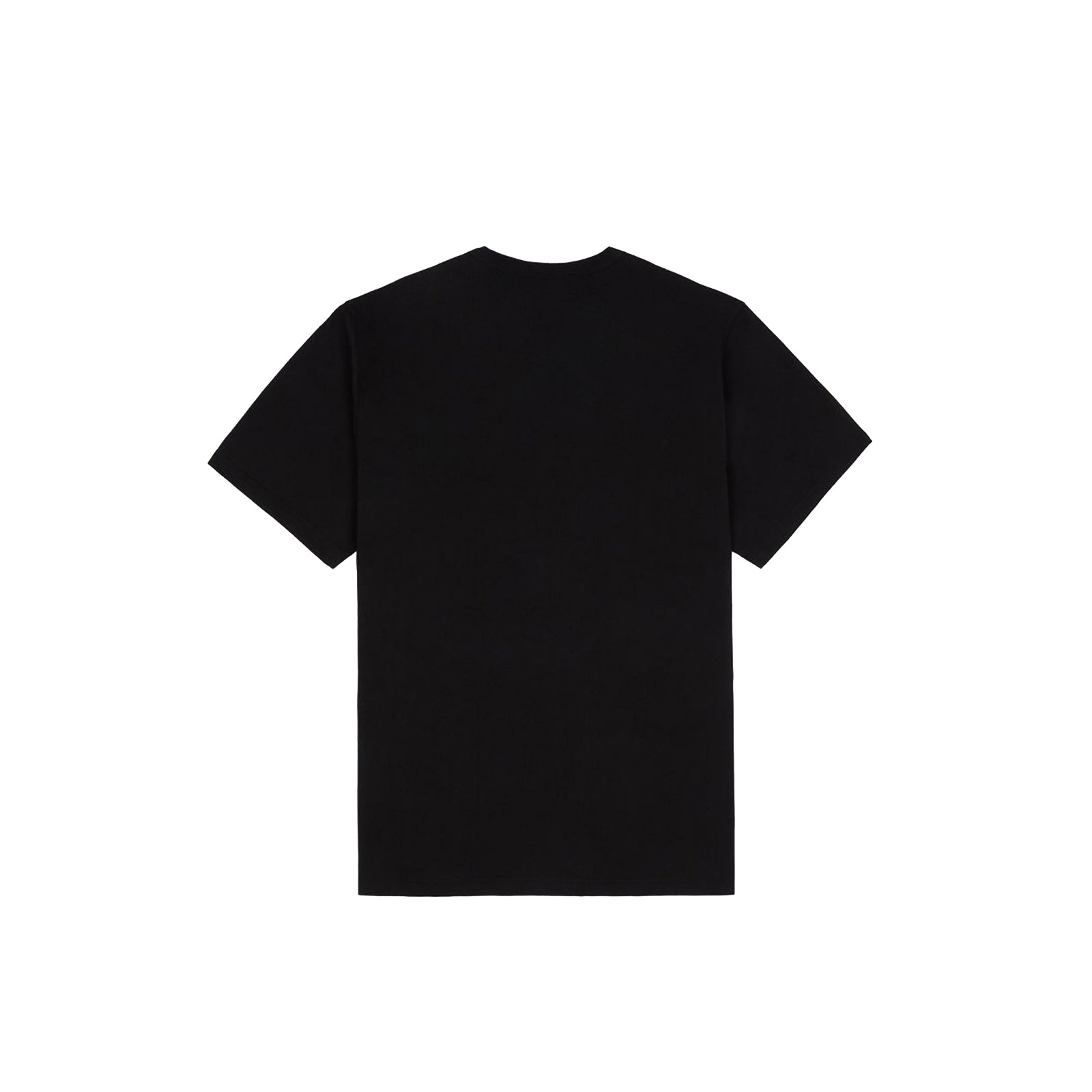 Dickies Aitkin Tee Nuovo