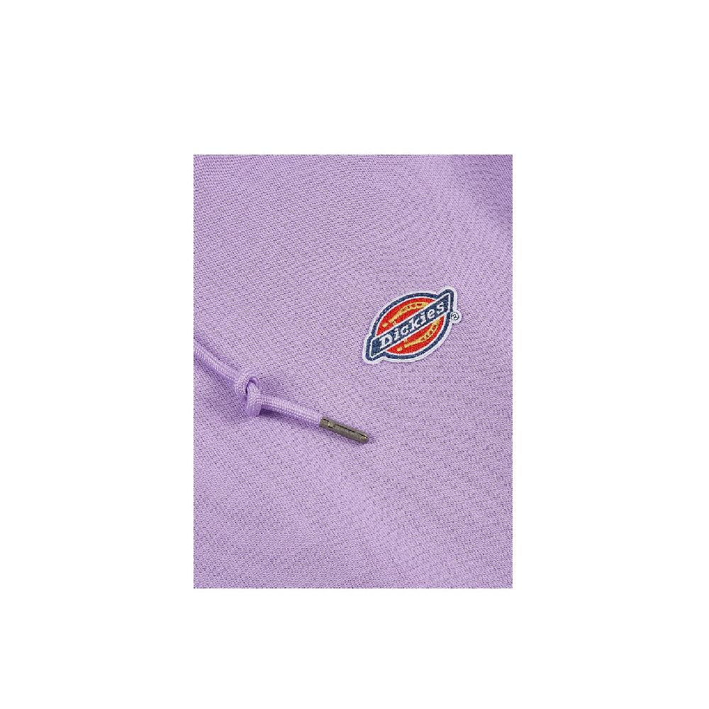 Dickies Millersburg Hoodie Italy